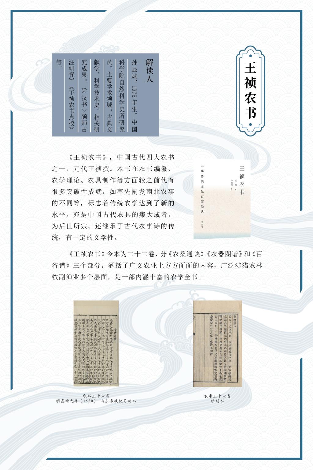 子部12本10